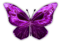 Butterfly 202