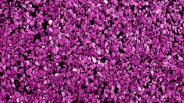 Purple Lilac Stones Background