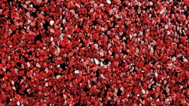 Red Small Stones Background