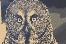 Retro Owl Art Poster
