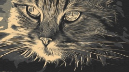 Retro Cat Art Poster