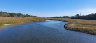 Small Swamp Waterway