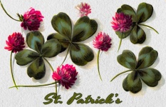 St. Patrick&039;s Day Clover Postcard
