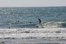 Surfer On Blue Sunny Sea