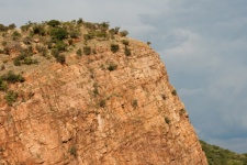 Tall Rock Cliff With Trees Growing
