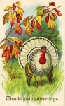 Thanksgiving Card Vintage Old