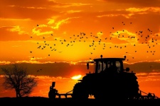 Tractor, Sunset