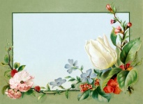 Vintage Flowers Label Frame