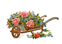 Vintage Clipart Wheelbarrow Roses