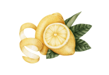 Vintage Clipart Lemon Art