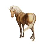 Vintage Painting Horse Clipart