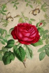 Vintage Rose Poster Art