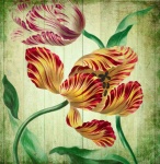 Vintage Tulips Flowers Art