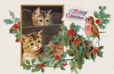 Vintage Christmas Card Cats