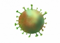 Virus, Omicron