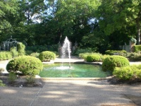 Water Fountain VI