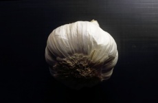 White Garlic Head On Dark Surface