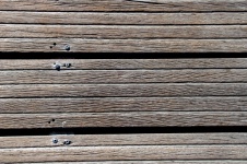 Wooden Plank Textures