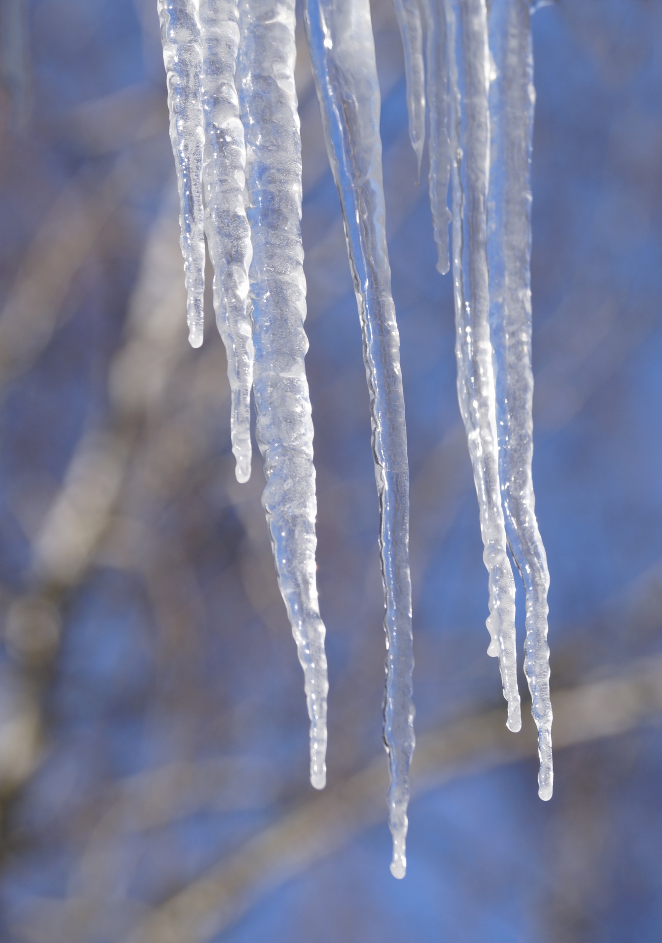 Icicles Frozen Winter Photo
