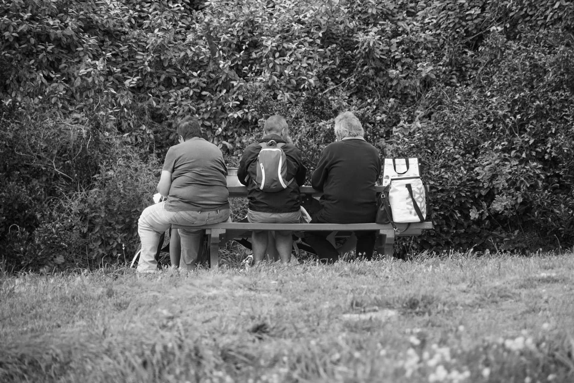 People On A Bench
