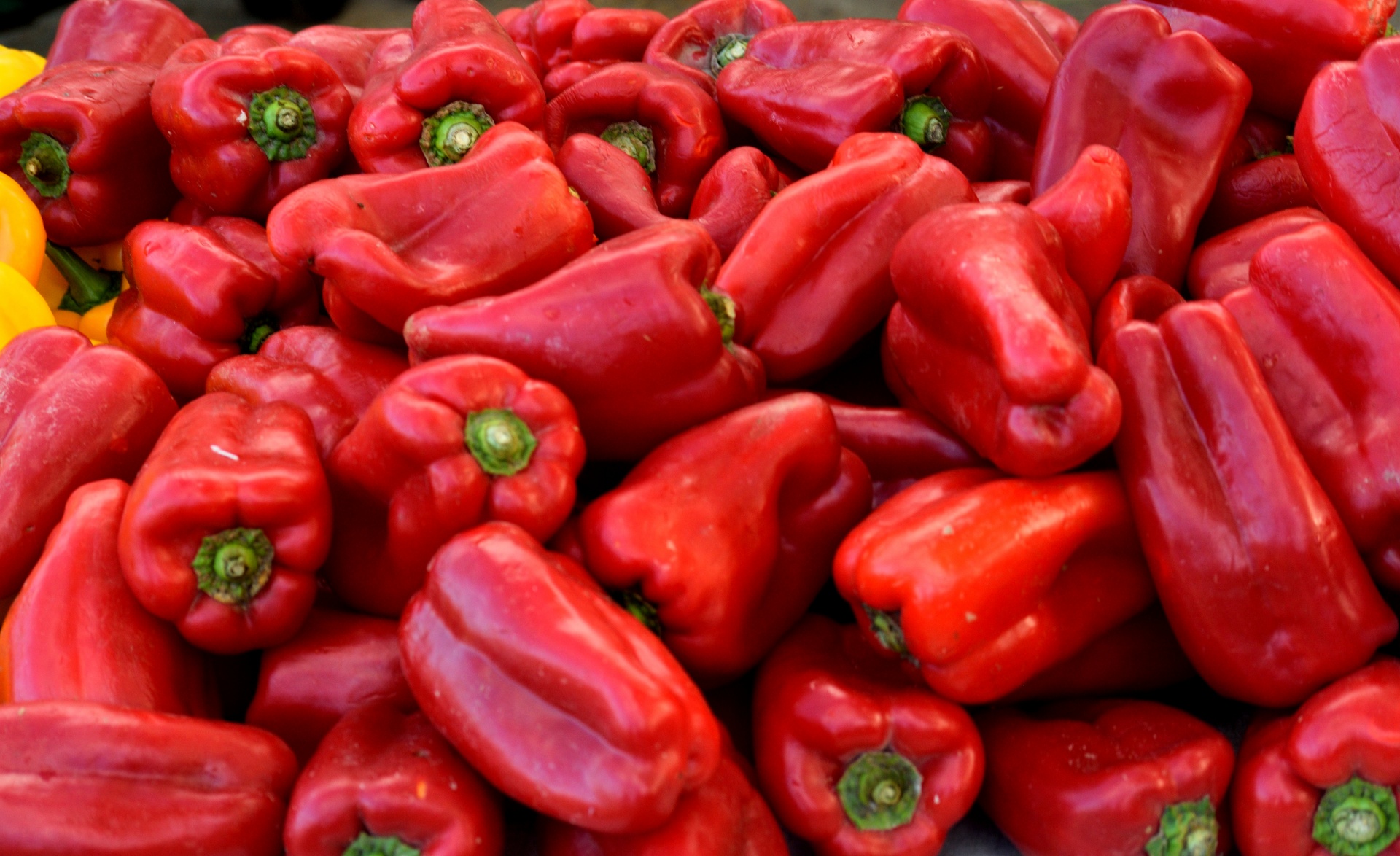 Red peppers for sale at outdoor market place.