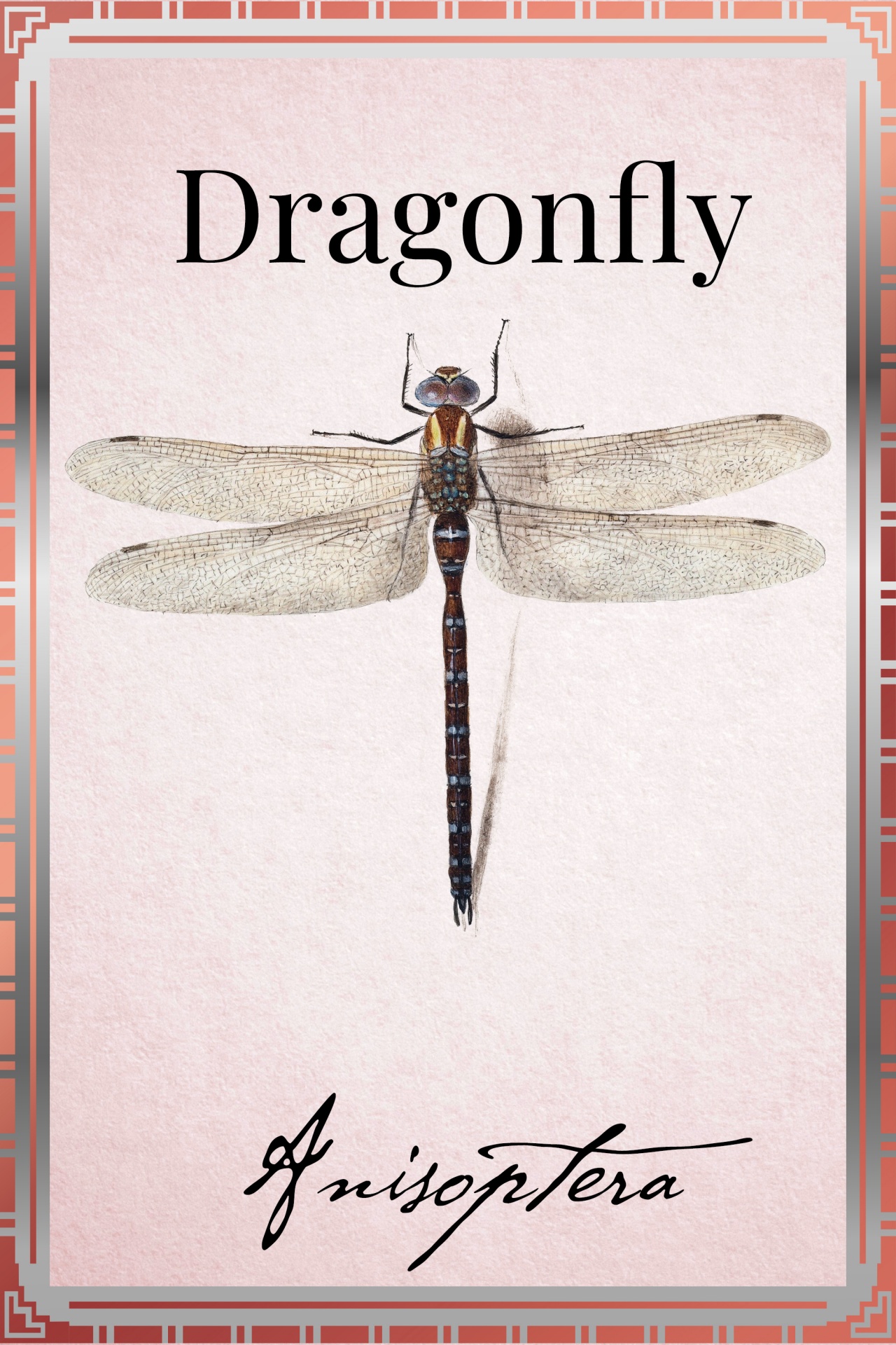 The Dragonfly Vintage Poster