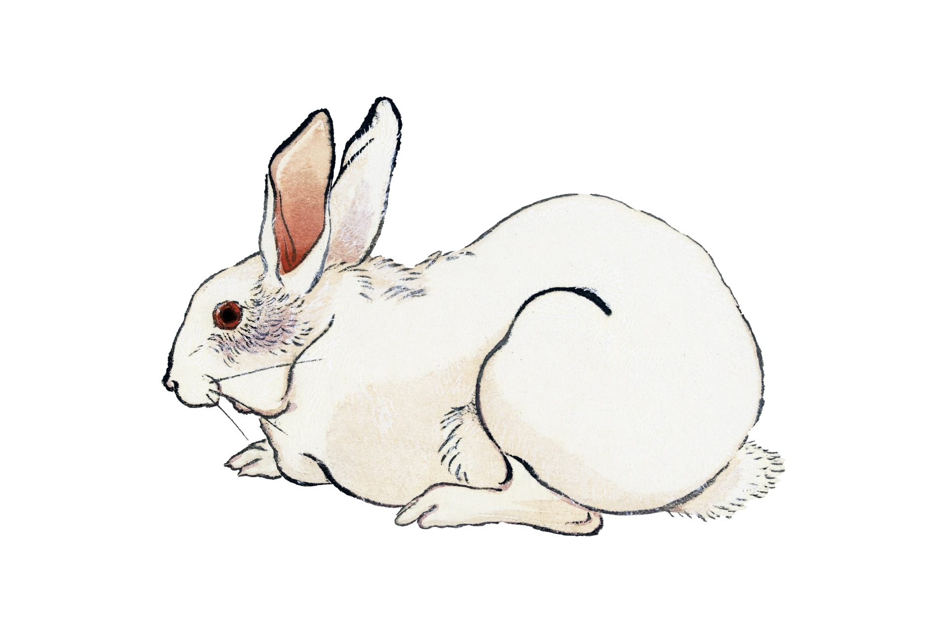 Vintage Clipart Bunny Art