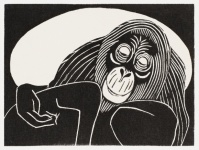 Monkey Orangutan Illustration