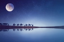 Bedouin, Desert, Caravan, Camels