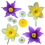 Flowers Blossoms Clipart Photo