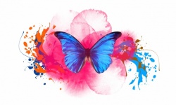Butterfly, Wings, Fantasy, Blots