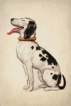 Dalmatian Dog Vintage Art