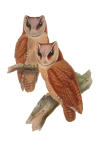 Owl Vintage Illustration Clipart