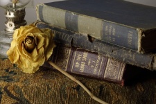 Faded Dry Rose With Old Books