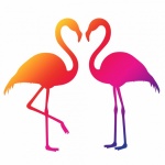 Flamingo Clipart Rainbow Colors