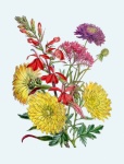 Floral Bouquet Vintage Clipart