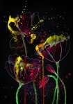 Flowers, Black Background, Art