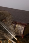 Fluffy Feather With A Bound Book