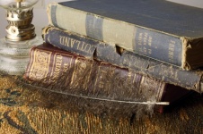 Fluffy Feather With Bound Books