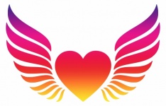 Heart Winged Rainbow Colors