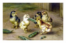 Chicken Chick Art Painting