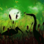 Heron Birds In Wetlands Art