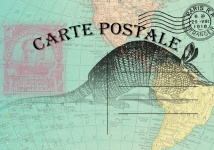 Vintage Map Postcard