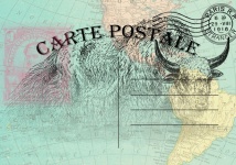 Vintage Map Postcard