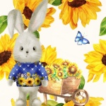 Sunflower Spring Bunny Rabbit