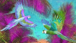 Tropical Parrots Colorful Poster