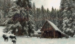 Winter Cabin And Moose