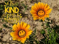 Kindness Flower Poster