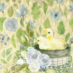Chick And Duckling Watercolor