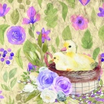 Chick And Duckling Watercolor